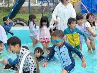 さくら8