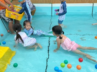 さくら4