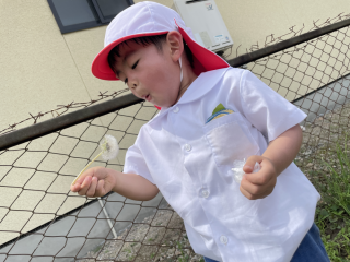 うめ4