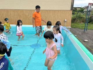 さくら3