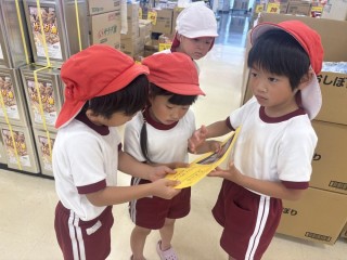 画像：2025　なつ真っ只中