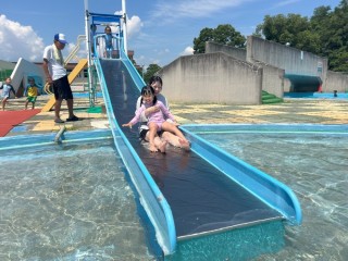 さくら2