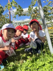 画像：みじかそうな秋を満喫！